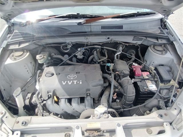 08.jpg