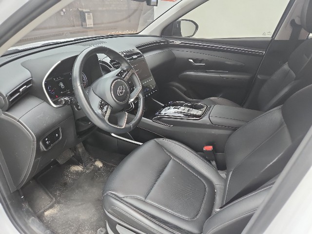lotterental_151803552_Un4rs_10.jpg