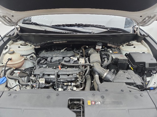 lotterental_151947403_rXCMk_8.jpg