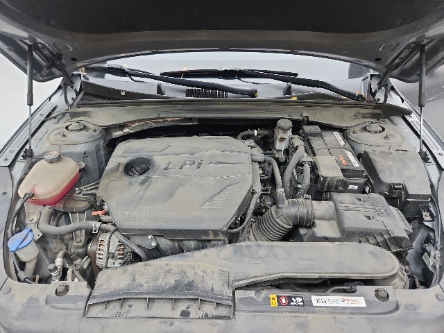 lotterental_110358405_XgVge_8.jpg