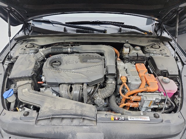 lotterental_110857545_lrBbK_10.jpg