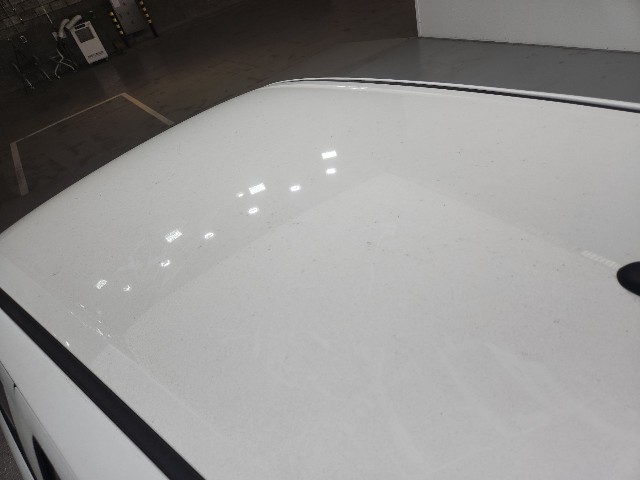 lotterental_143245880_25GU8_3.jpg