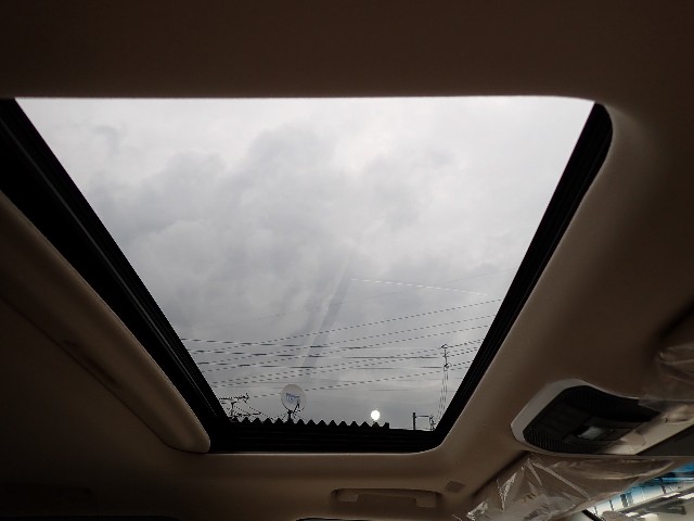 c22125db329647cb97b73afff462f399.jpeg