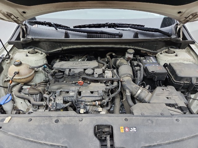lotterental_222043587_R4Lp5_10.jpg