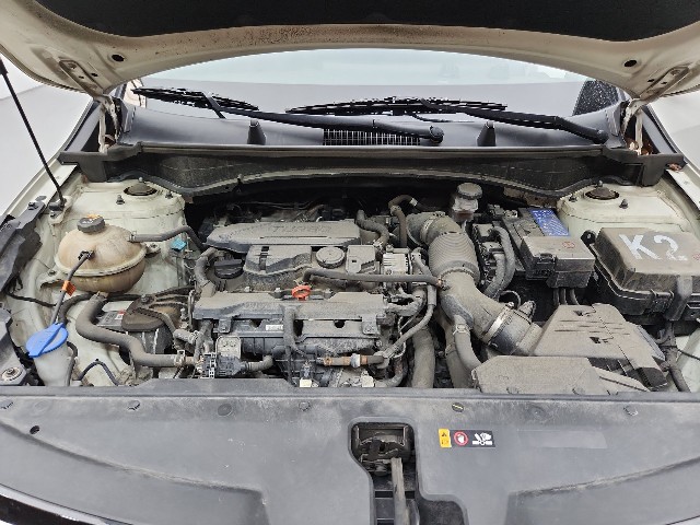 lotterental_150707176_6zwPN_10.jpg
