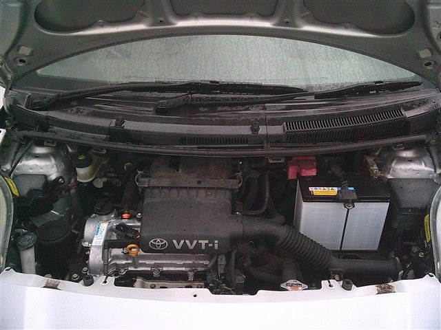 08.jpg