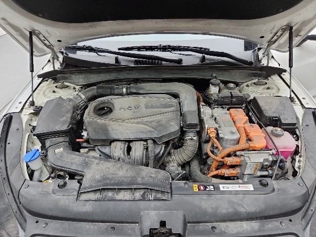 lotterental_213148779_B5GRH_7.jpg