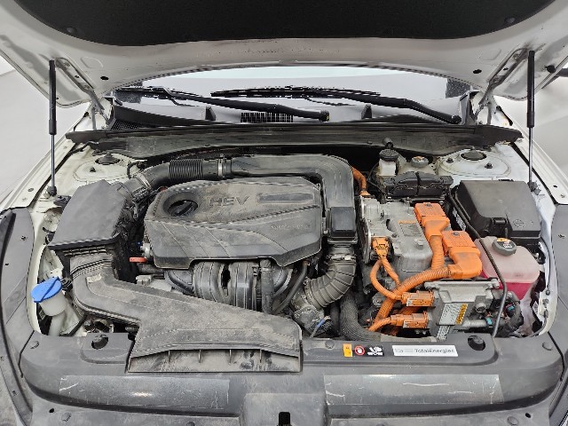 lotterental_144350517_N3yEf_9.jpg