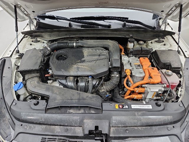 lotterental_143240993_FQIEx_8.jpg