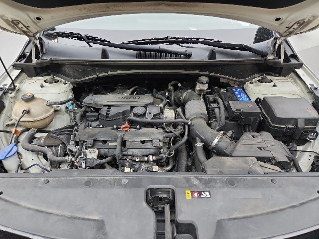 lotterental_151817597_lpf3z_10.jpg