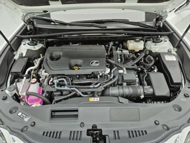 42bcd27b718113c443c3fe375d8af652.jpeg