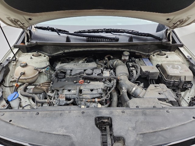 lotterental_152927498_RS2c4_9.jpg