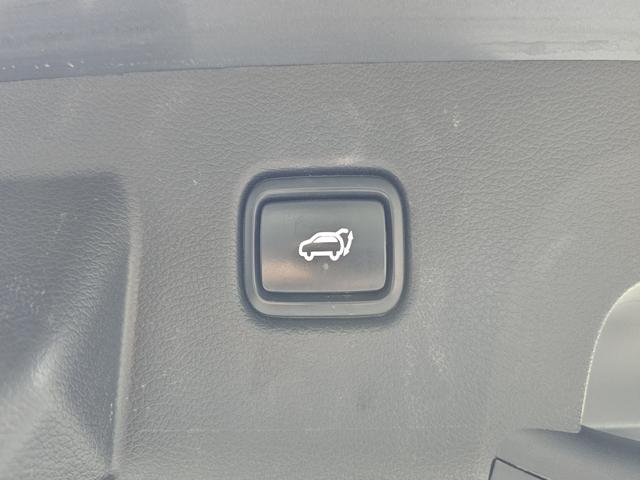 a7bb4ec6942366208c5bcd6345a1b568.jpeg