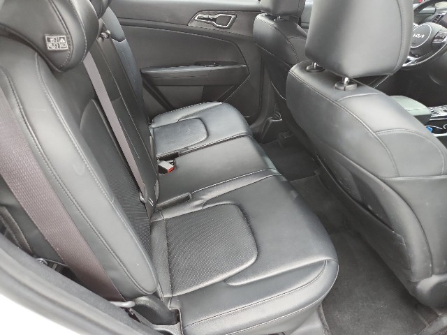 lotterental_223048682_RMiaa_10.jpg