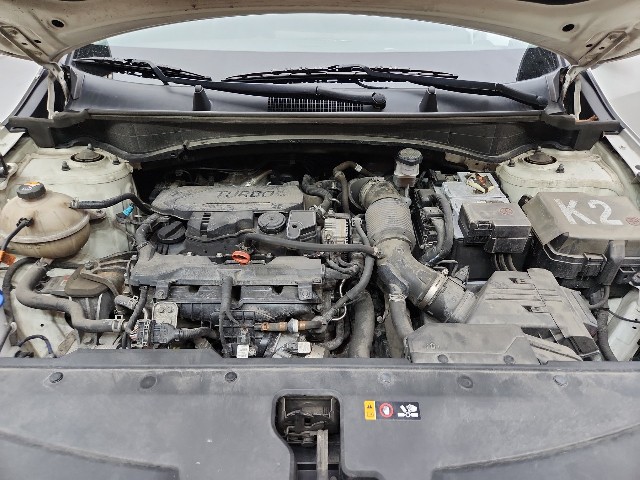 lotterental_223413567_CqDoV_10.jpg
