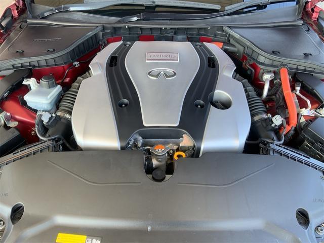 22798728_carP_l_12.jpg