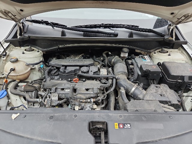lotterental_224524493_lXTLA_9.jpg