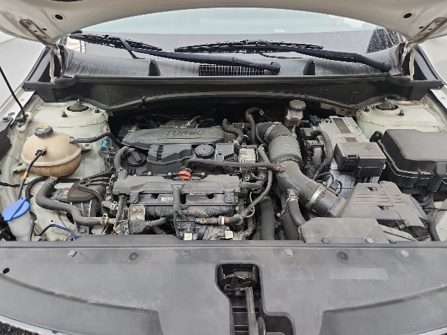 lotterental_110013425_CxWoK_8.jpg