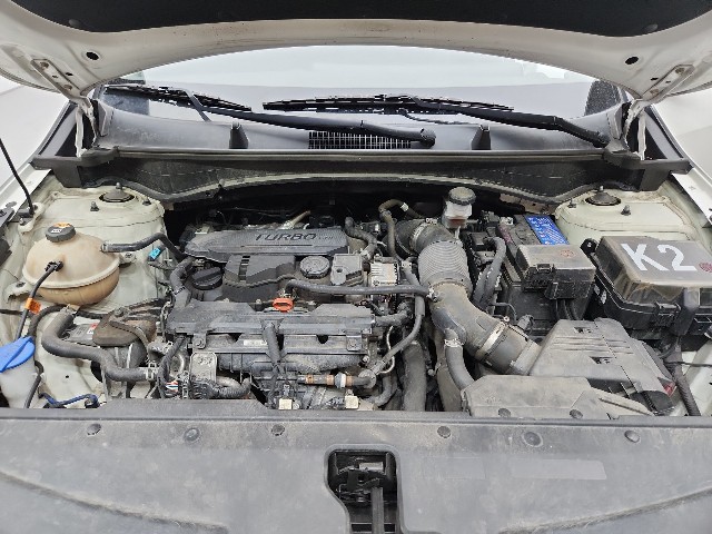 lotterental_225635543_dx3FB_8.jpg