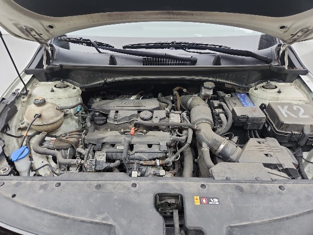 lotterental_230745905_u8dYB_8.jpg