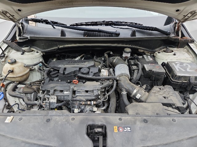 lotterental_220751454_WP06w_8.jpg