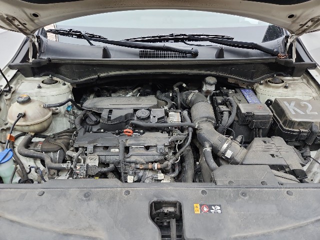 lotterental_215639260_uxPQQ_9.jpg