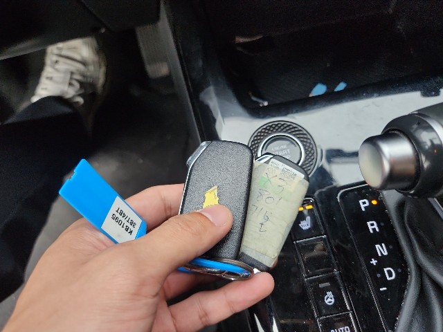 lotterental_214730459_grM73_8.jpg