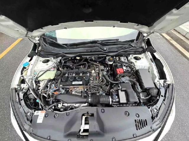 e55765f7b494c2cbe2b94962030f5753.jpeg