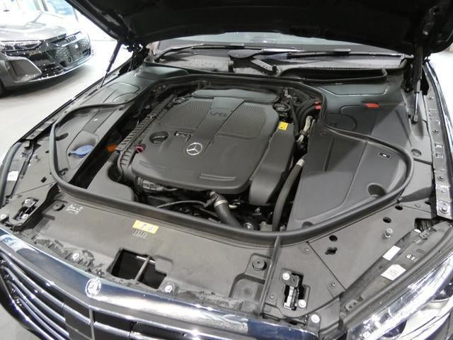 16864496_carP_l_20.jpg