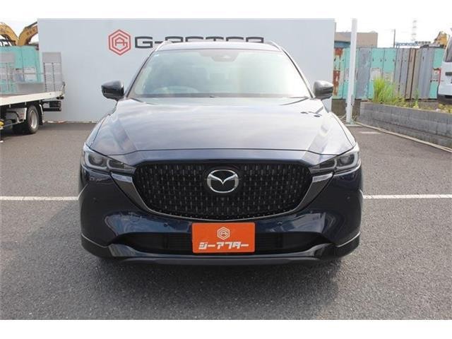 4b63cc2498e2cf607fa473bc63384c83.jpg