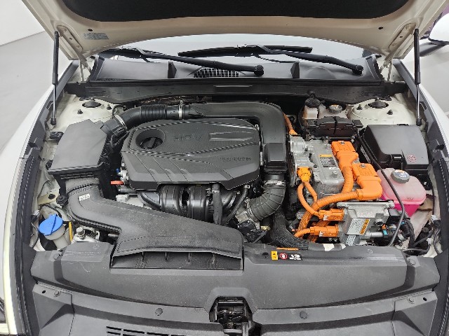 lotterental_211359784_sFsuu_8.jpg