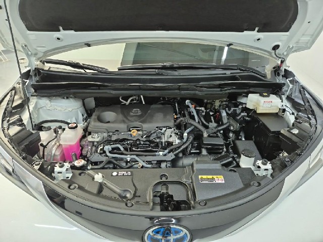 6091501838R5.jpg