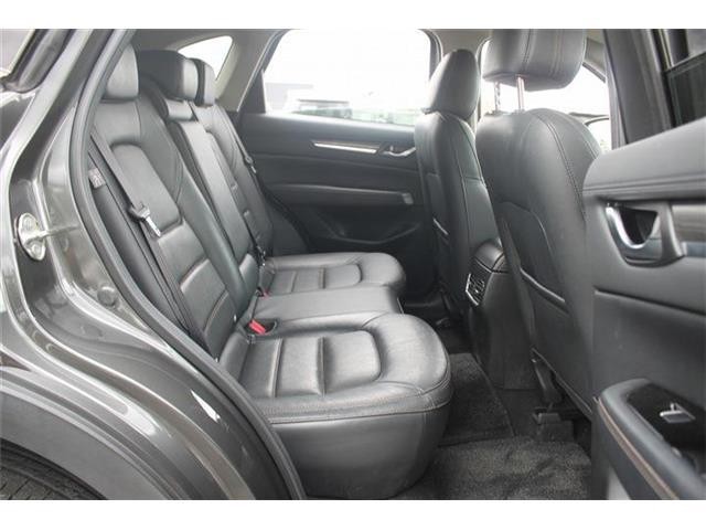 dc2e38e7b15322ef528b024895e41ccf.jpg