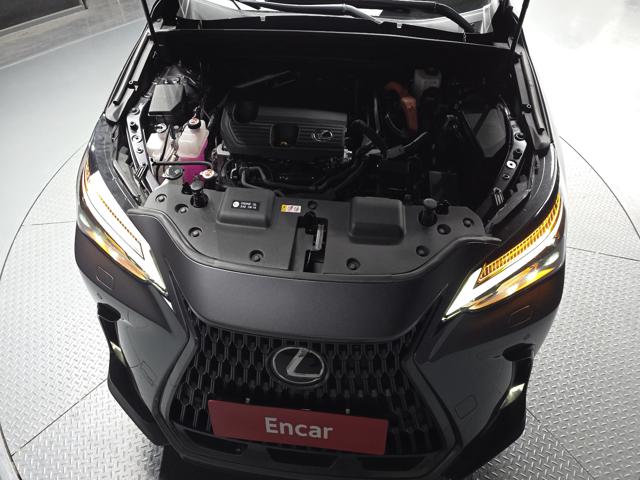 fc6329613b9f1b4204553a8c1341c6d6.jpeg