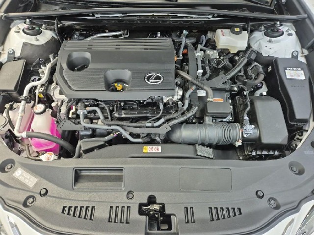 6091501484R5.jpg