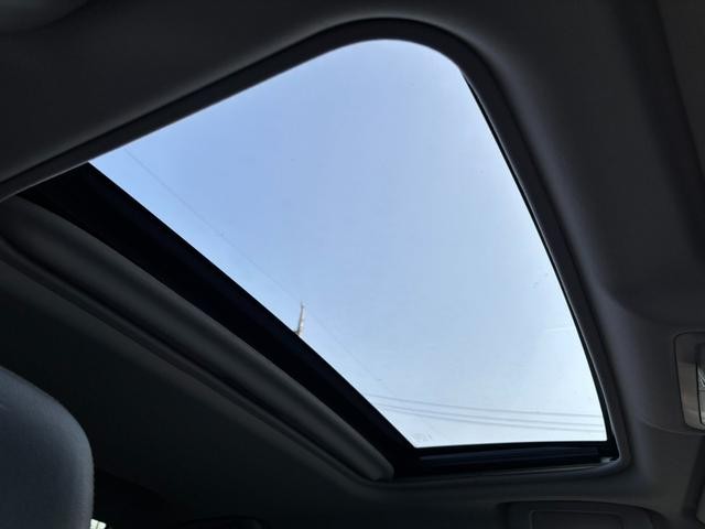 1010235A30260820W00116.jpg