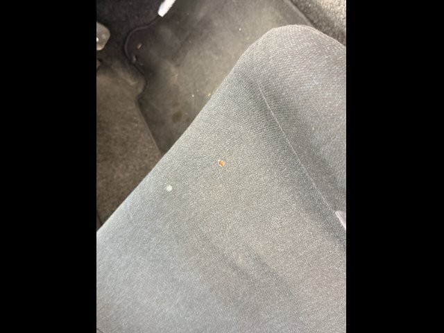 083ba1c44c51e175ffcd7cd295d52d8b.jpg