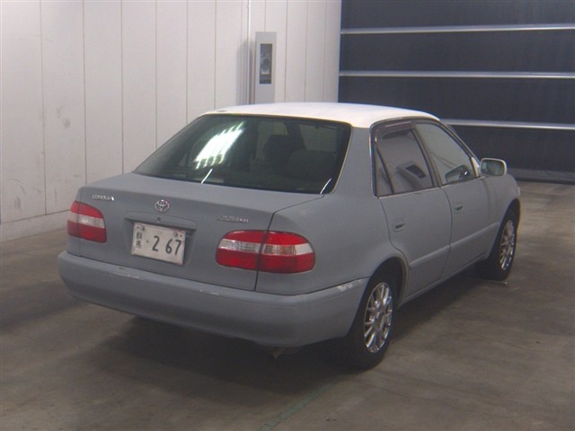 083deab8db59600452cf5601f5614578.jpg