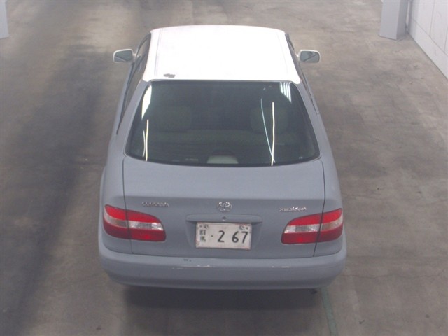 109b534ace0c4a50898c3746cd2a5334.jpg