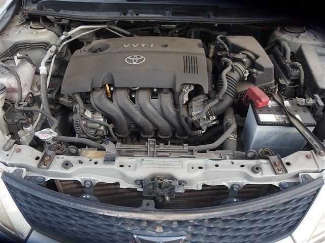08.jpg