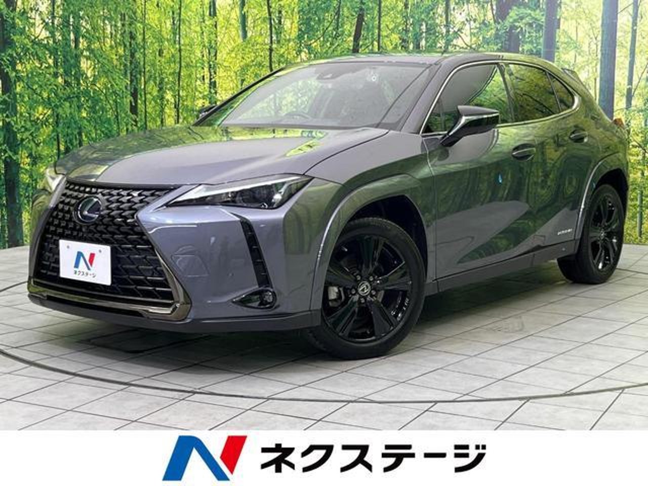 2022 Lexus Ux, photo 1 of 1