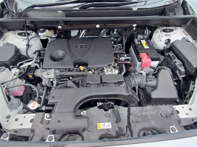 08.jpg