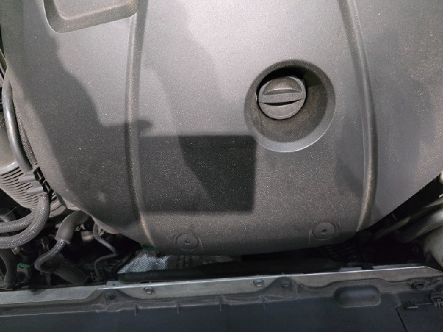 fca130720ba9647c7136eb6ab63df934.jpeg