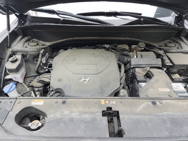 lotterental_144937814_tRq0C_5.jpg