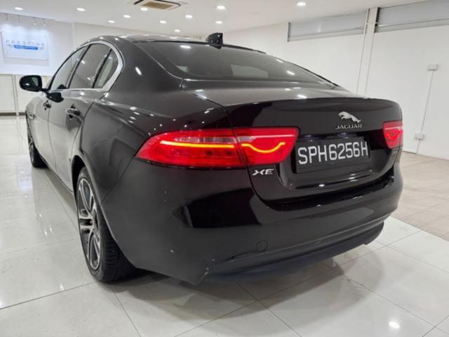 23732184ae50c0b0a9d7b6e860bc5ae8.jpeg