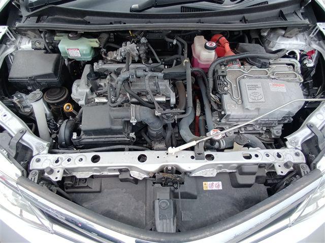 08.jpg
