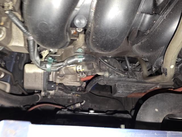 173fceb447daf47b72b30e8457955ebe.jpeg