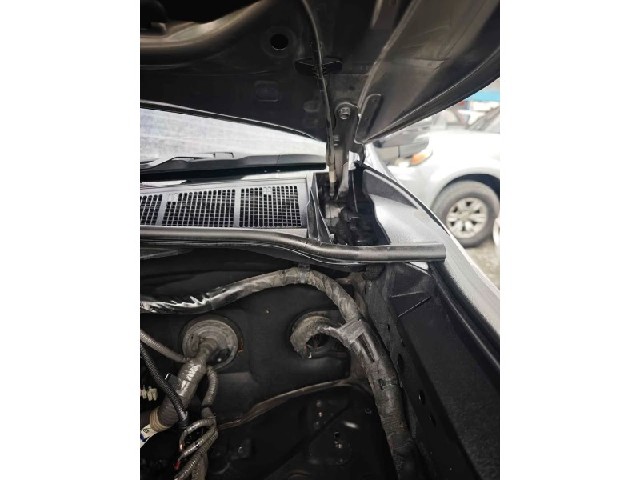 c765006daa64925bdb2e97a45135180c.jpeg