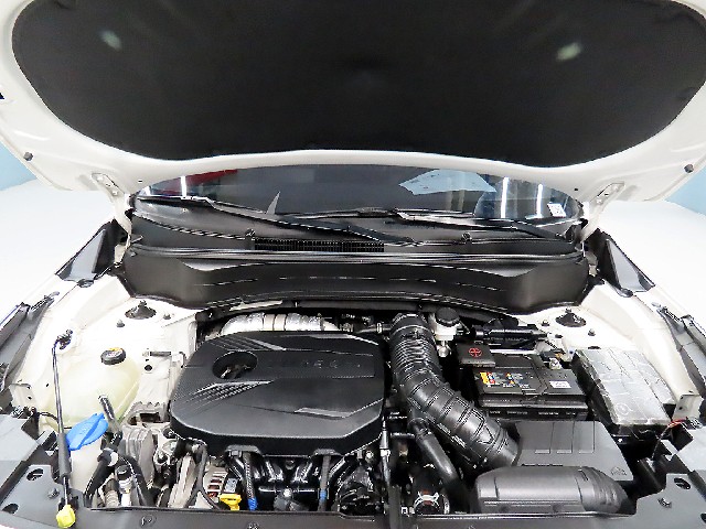 e3371f596a2edc2a08c6b88c67762d02.jpeg