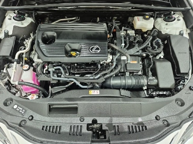 6081000323R5.jpg